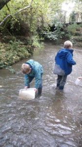Environmental Studies 2